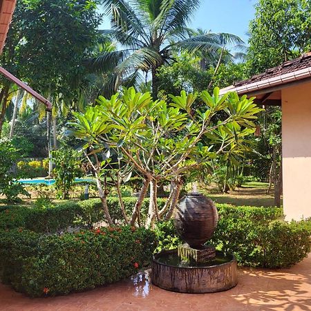 King Coconut Lodge Habaraduwa Екстер'єр фото
