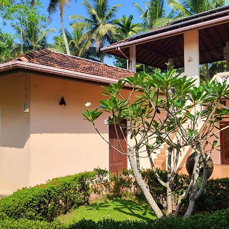 King Coconut Lodge Habaraduwa Екстер'єр фото
