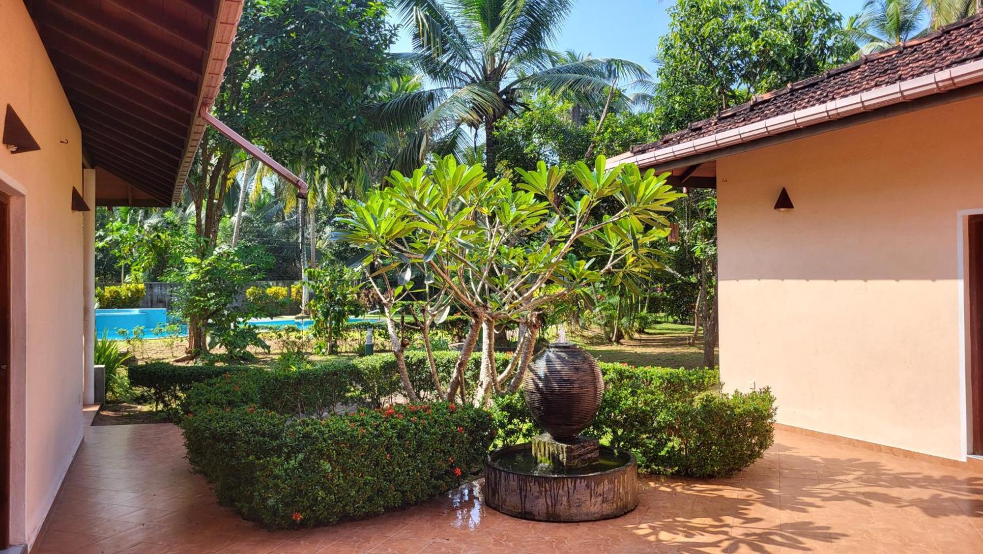King Coconut Lodge Habaraduwa Екстер'єр фото