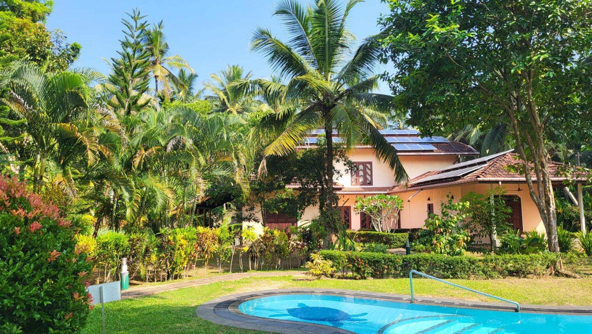 King Coconut Lodge Habaraduwa Екстер'єр фото