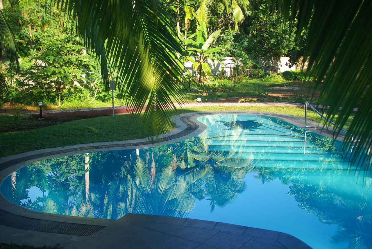 King Coconut Lodge Habaraduwa Екстер'єр фото
