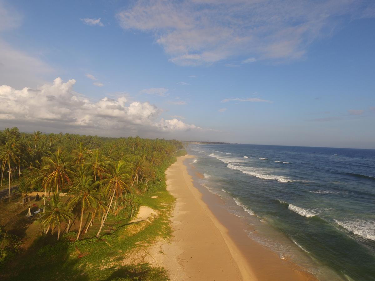 King Coconut Lodge Habaraduwa Екстер'єр фото