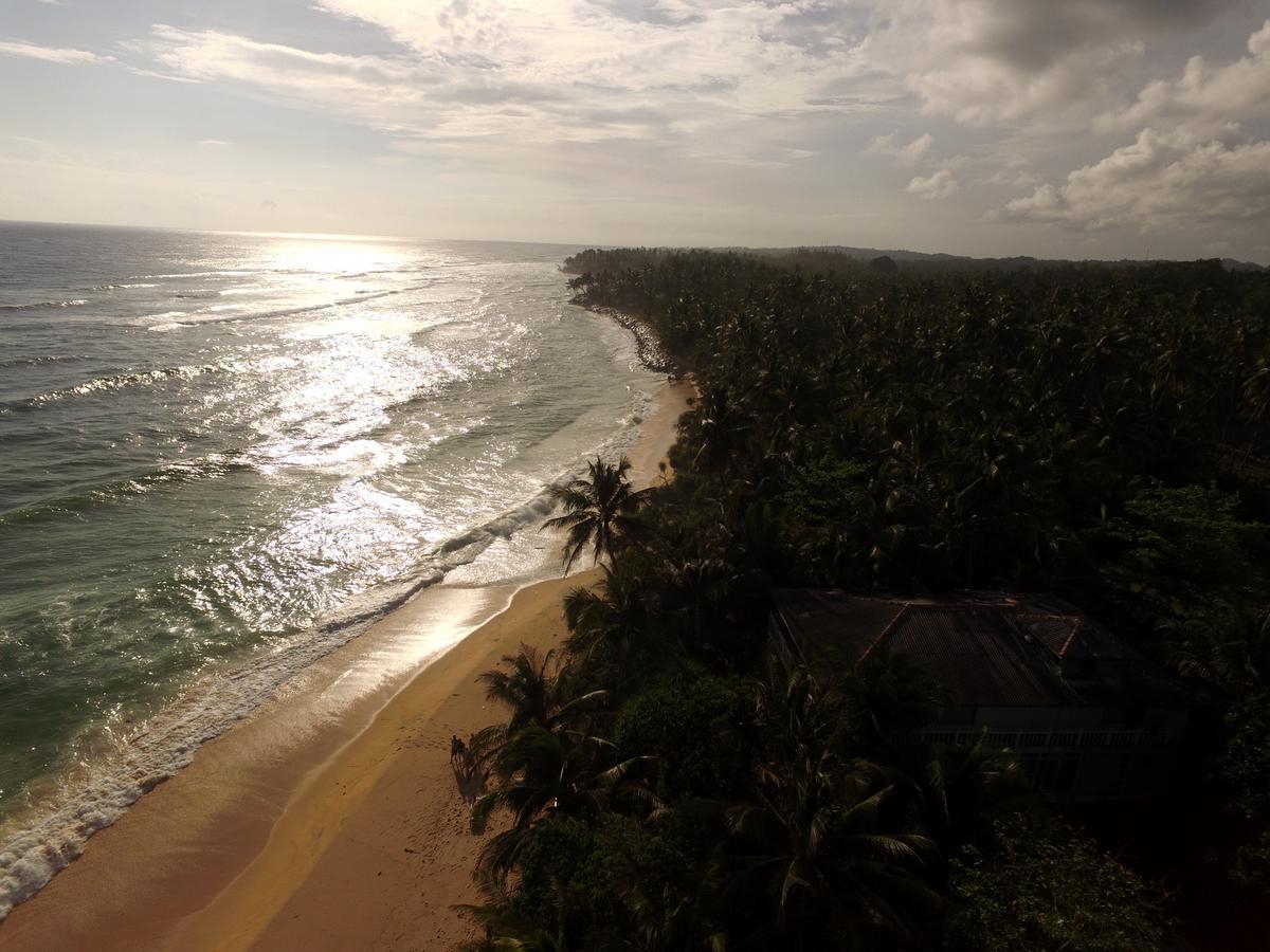 King Coconut Lodge Habaraduwa Екстер'єр фото