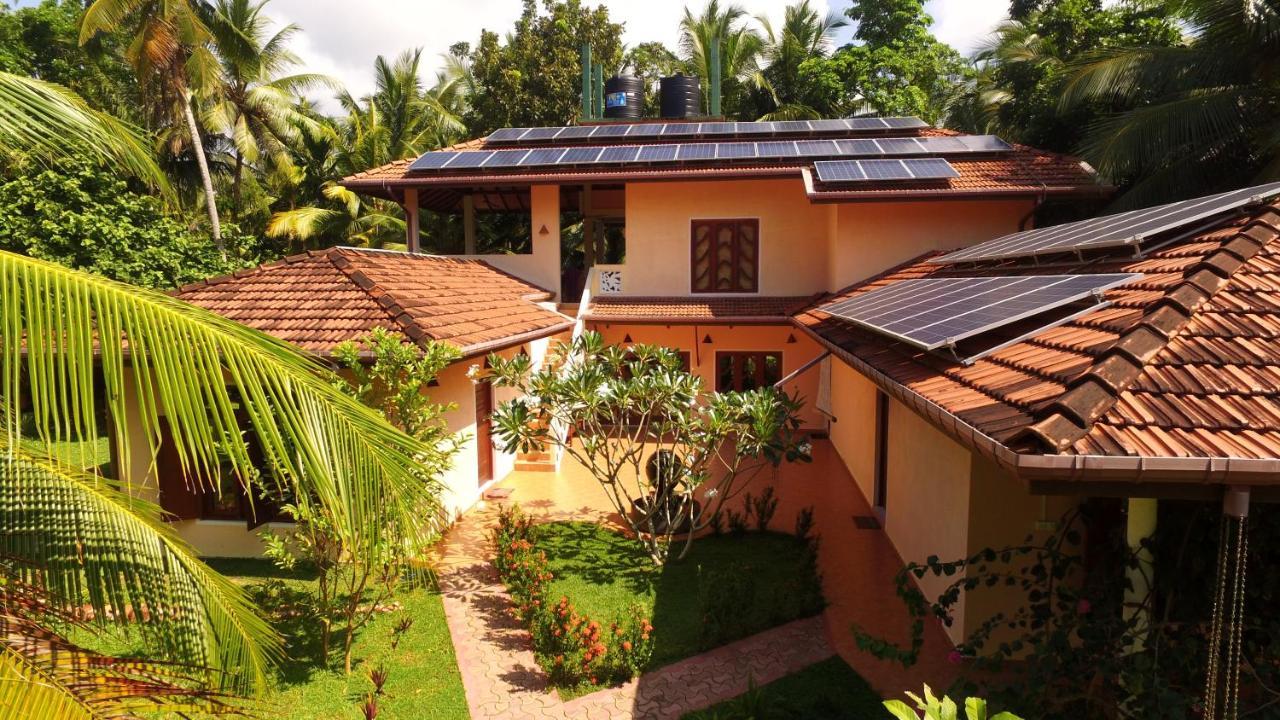 King Coconut Lodge Habaraduwa Екстер'єр фото