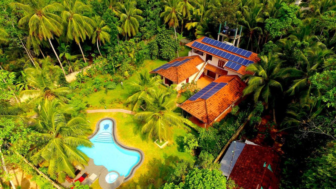 King Coconut Lodge Habaraduwa Екстер'єр фото