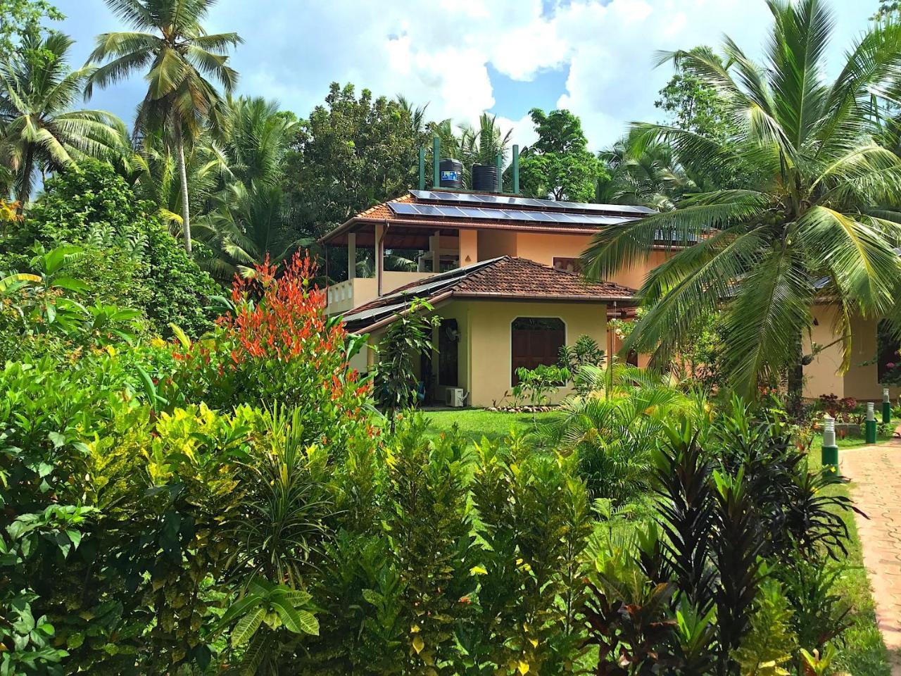 King Coconut Lodge Habaraduwa Екстер'єр фото